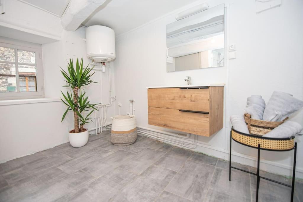 Magnifique Studio Au Coeur De Saint Paulien Apartment Luaran gambar